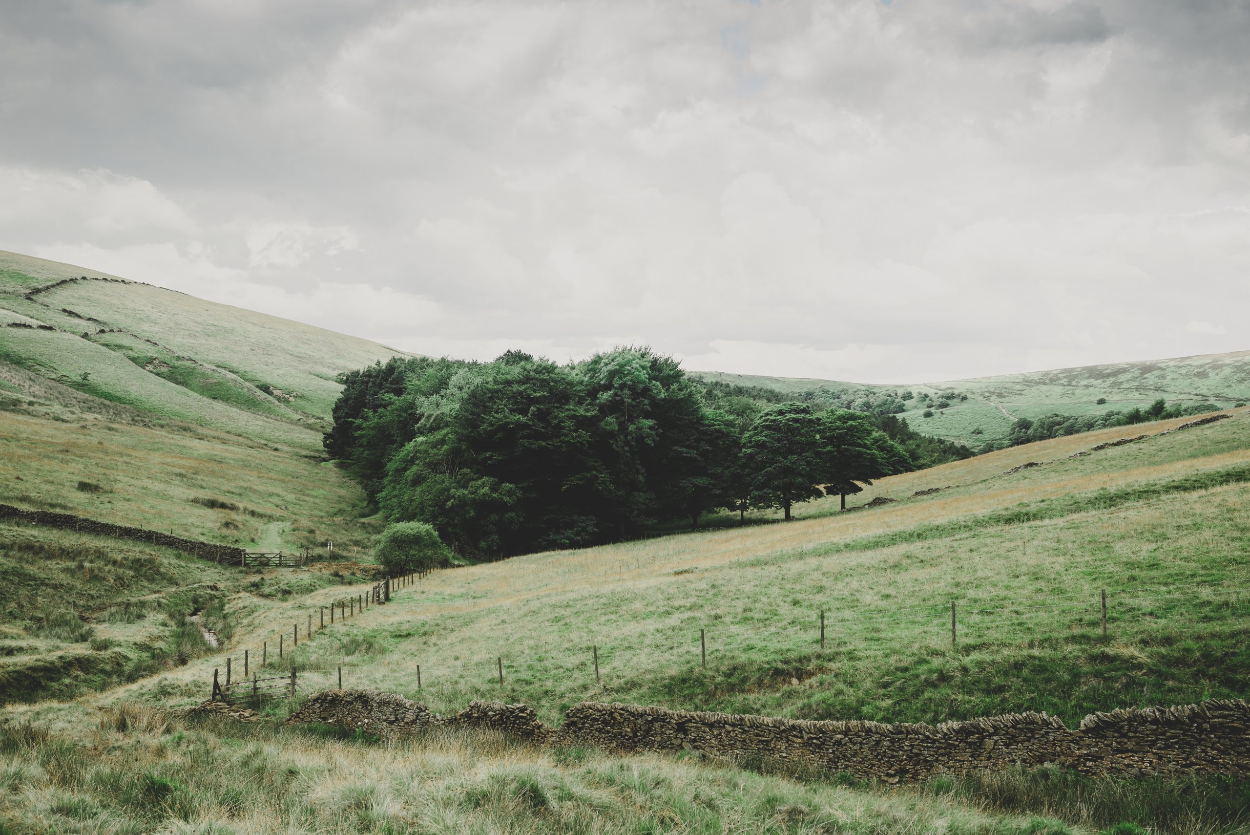 Peak District hills and trees